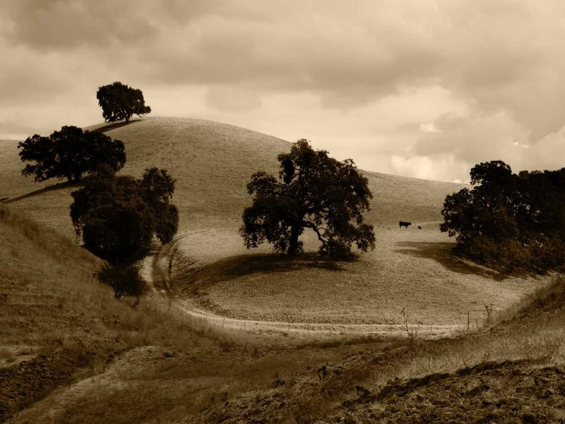 我是传奇<br>qyf5seag.cn 纽约僵尸围城